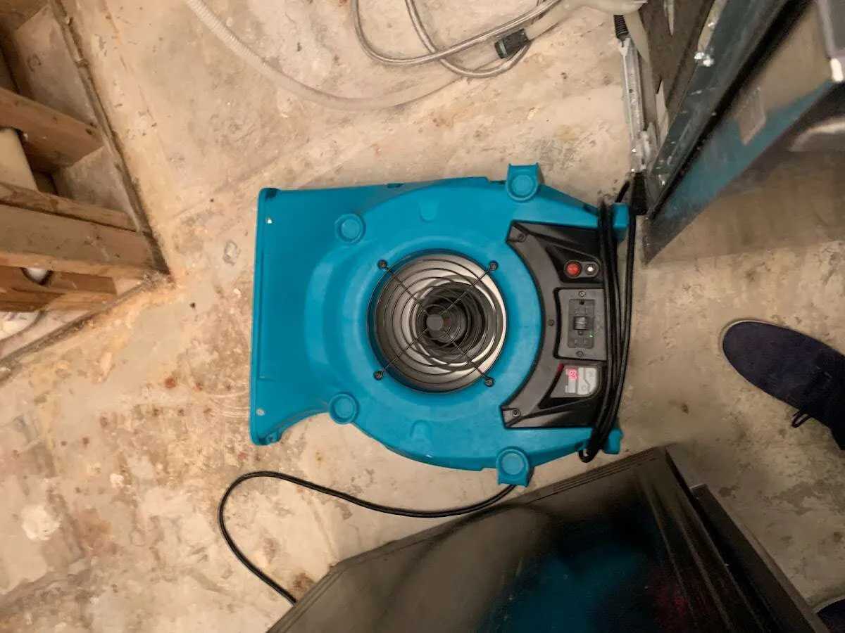 Air mover drying equipment for Mold Remediation & Removal in Medford
